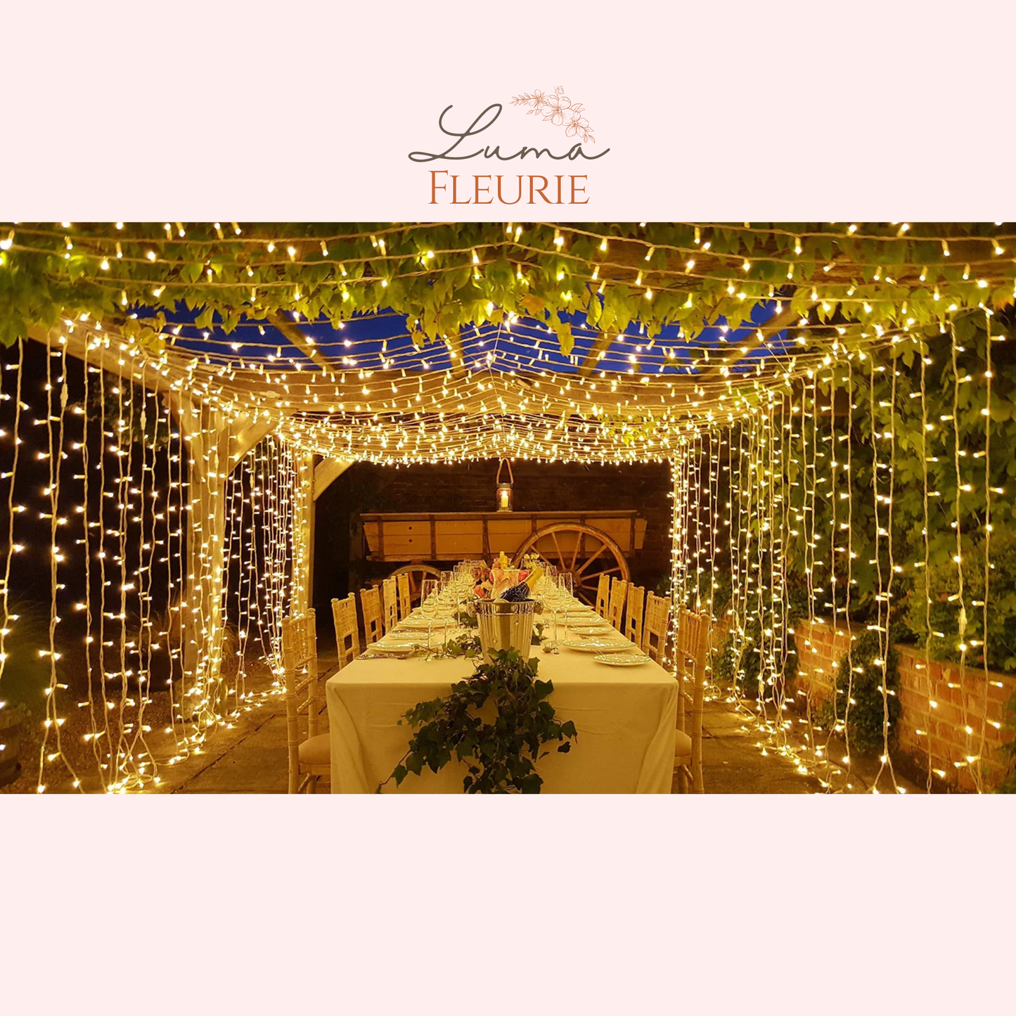 Enchanted Fairy Light Dining Canopy