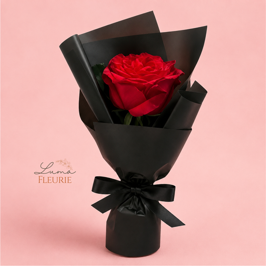 Midnight Single Rose