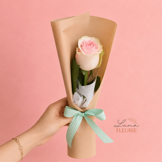 Blush Whisper Rose