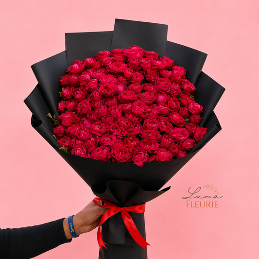 Midnight Velvet Red Rose Grand